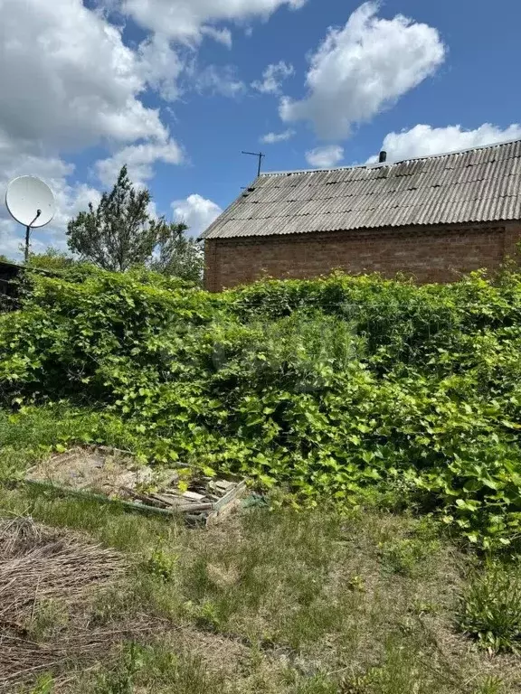 Дом в Белгородская область, Валуйский муниципальный округ, с. ... - Фото 0