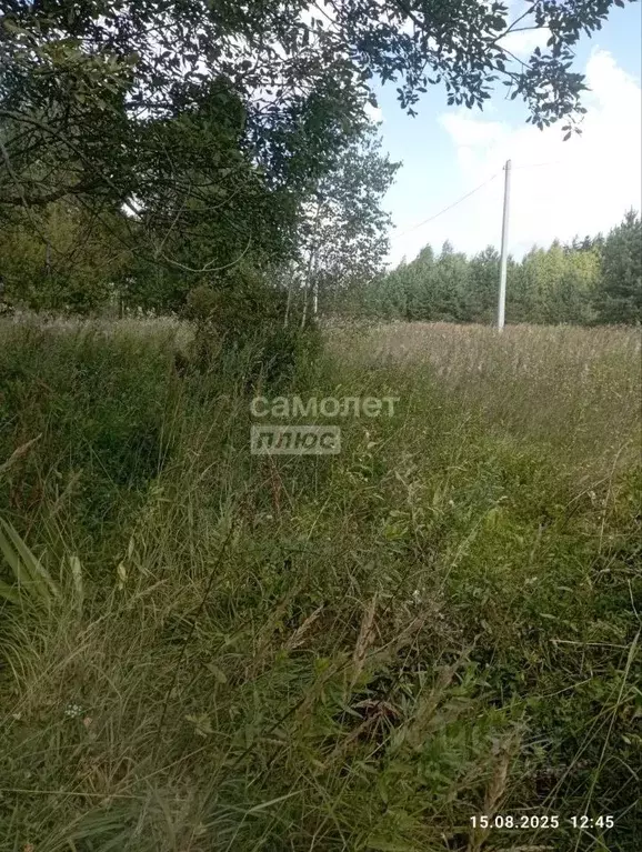 Участок в Ивановская область, Ивановский район, Коляновское с/пос, д. ... - Фото 1