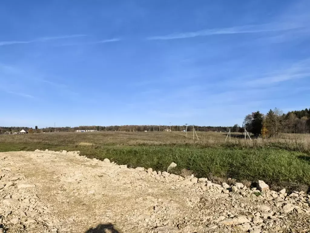 Участок в Ленинградская область, Ломоносовский район, Лопухинское ... - Фото 1