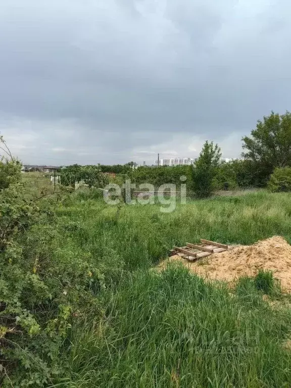 Участок в Ростовская область, Ростов-на-Дону Защитник садовое ... - Фото 0