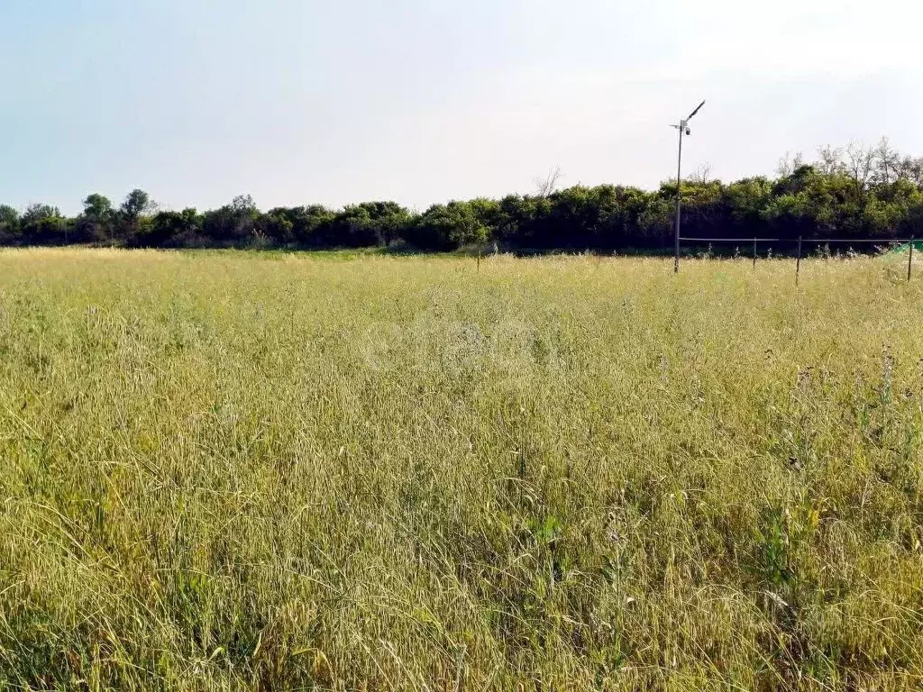 Участок в Краснодарский край, Анапа муниципальный округ, пос. Верхнее ... - Фото 2