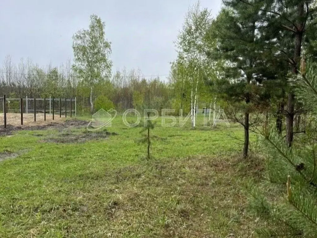 Участок в Тюменская область, Нижнетавдинский муниципальный округ, ... - Фото 2