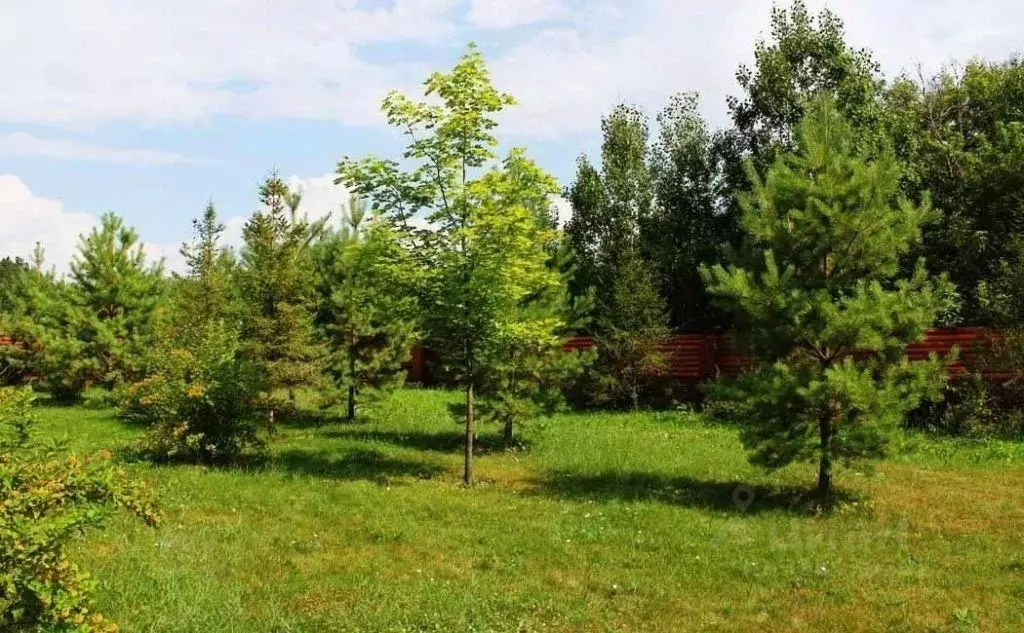 Участок в Самарская область, Красноярский район, с. Старая Бинарадка ... - Фото 2