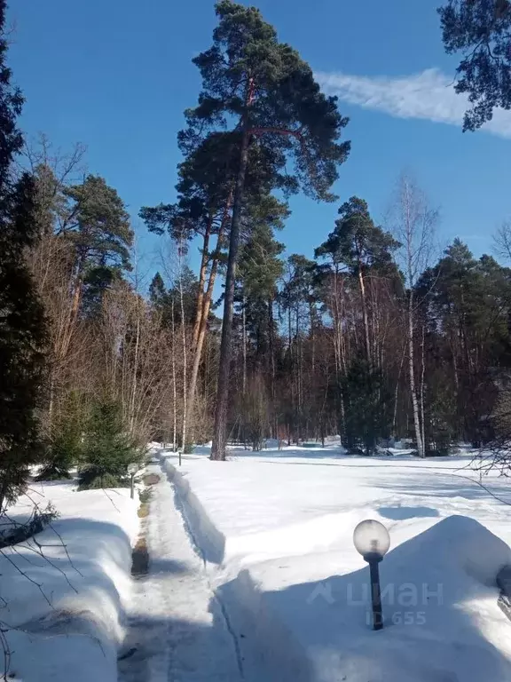 Дом в Московская область, Одинцовский городской округ, пос. Николина ... - Фото 1