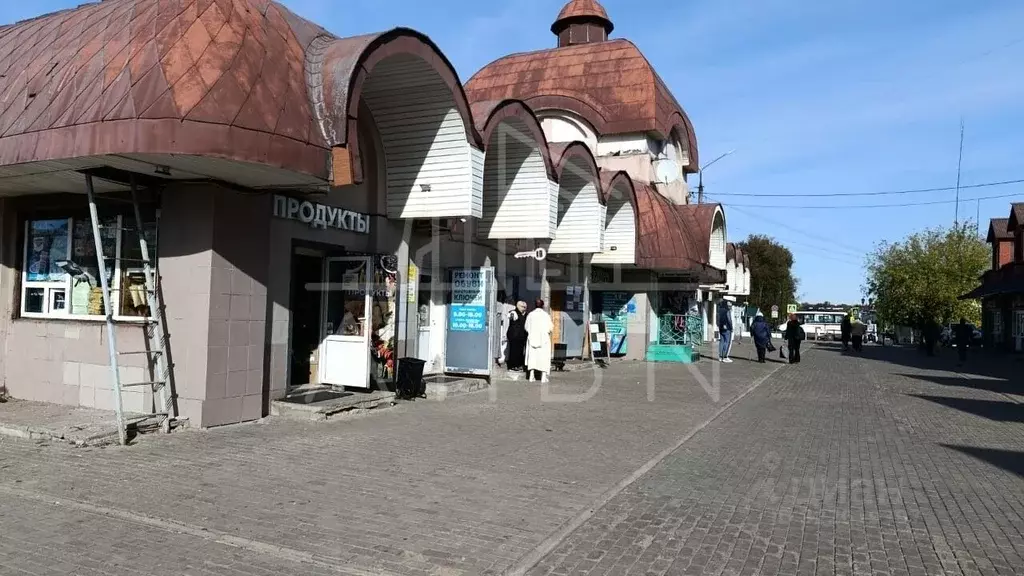 Торговая площадь в Московская область, Сергиев Посад ул. 1-я Рыбная, ... - Фото 1