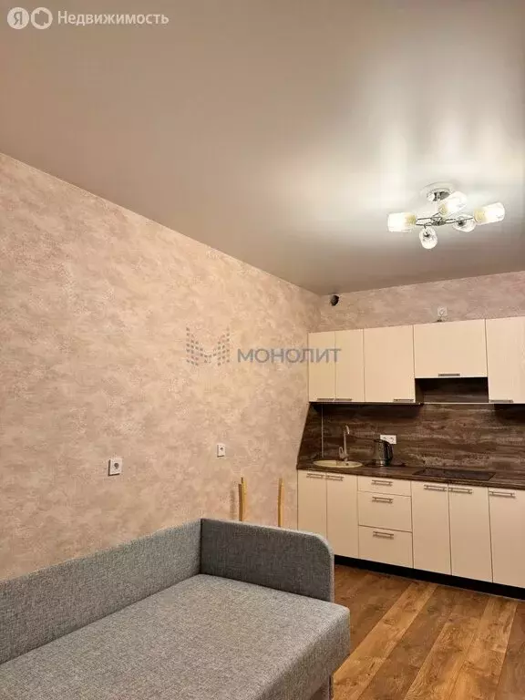 Квартира-студия: Нижний Новгород, Проломная улица, 40 (28.1 м) - Фото 2