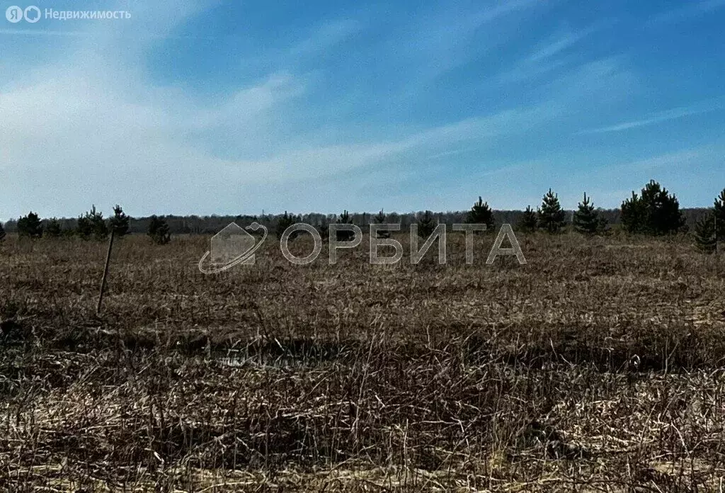 Участок в Тюменский район, деревня Елань (7.19 м) - Фото 0
