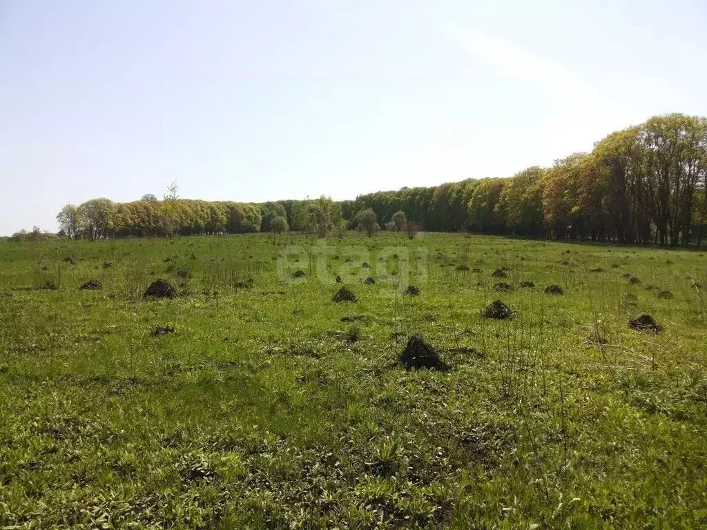 Участок в Тульская область, Заокский район, Демидовское с/пос, Березка ... - Фото 2