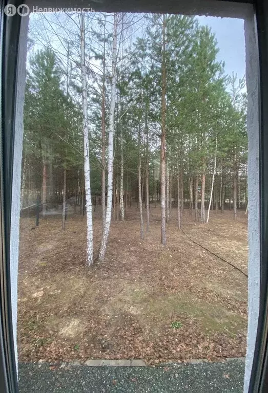 Дом в Нижегородская область, Городецкий муниципальный округ, деревня ... - Фото 0