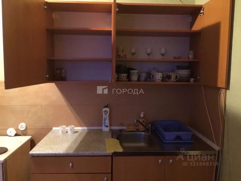 Студия Новосибирская область, Новосибирск Горский мкр, 72 (30.0 м) - Фото 1