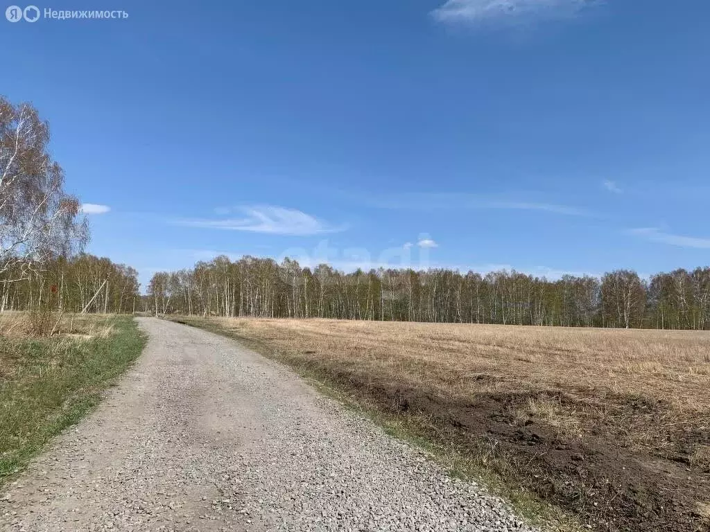 Участок в Новосибирский район, Морской сельсовет, село Ленинское (8.11 ... - Фото 1