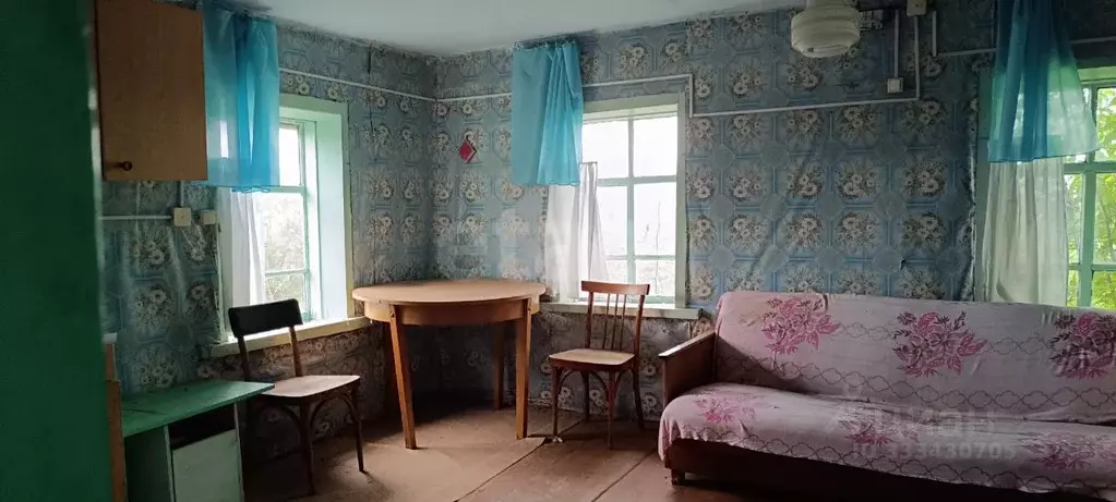 Дом в Алтай, Усть-Коксинский район, с. Баштала Речной пер., 8 (25 м) - Фото 1
