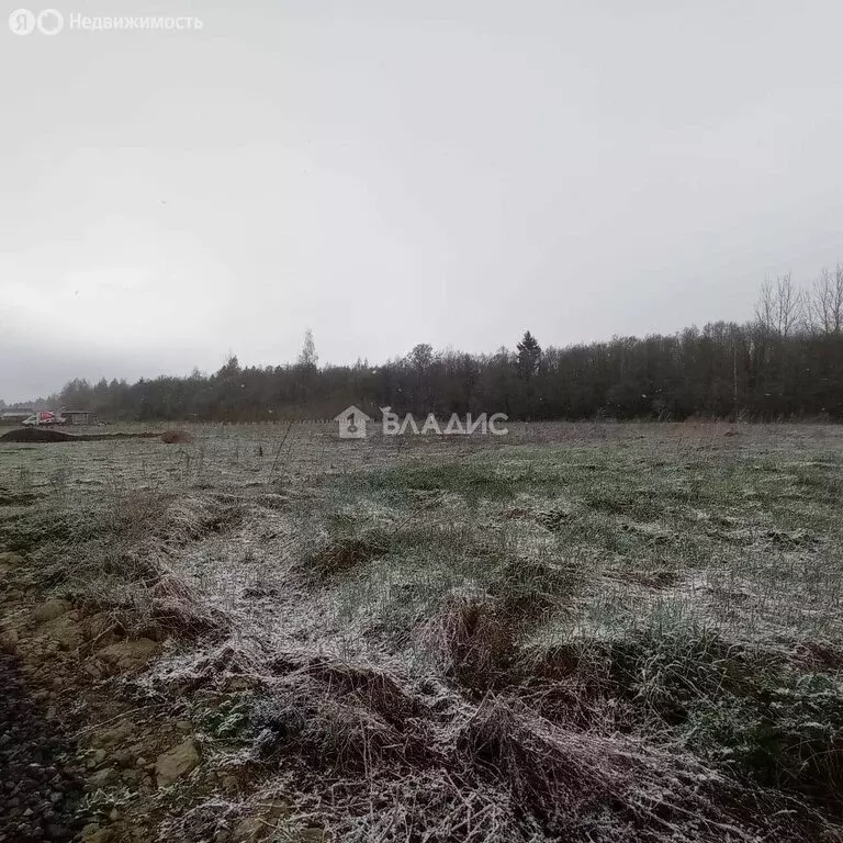 Участок в Гостилицкое сельское поселение, ДНП Удачное, Счастливая ... - Фото 0