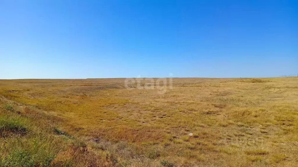 участок в крым, черноморский район, медведевское с/пос, с. медведево . - Фото 0