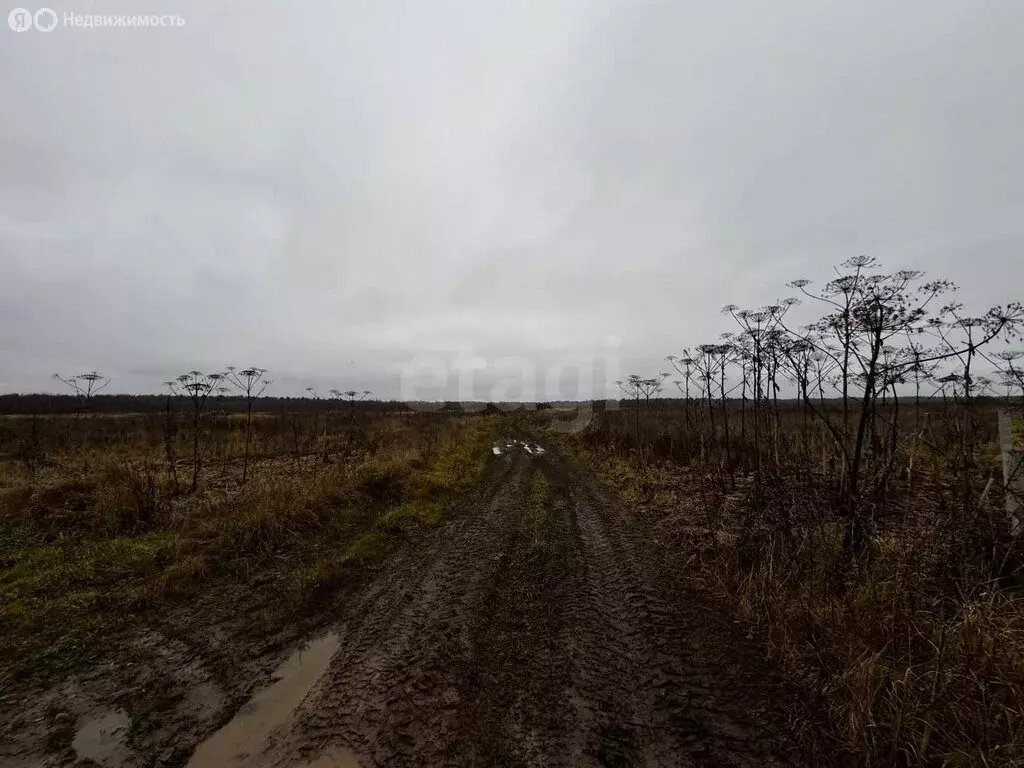 Участок в Тверская область, Калининский муниципальный округ, село ... - Фото 1