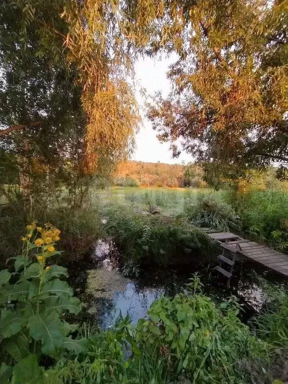 Участок в Новосибирская область, Новосибирск Маяк СНТ, ул. Прибрежная, ... - Фото 1