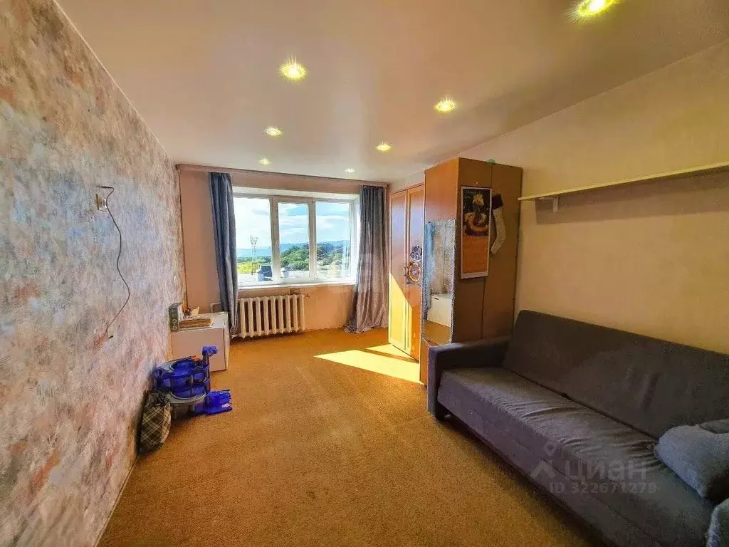 2-к кв. Камчатский край, Петропавловск-Камчатский ул. Петра Ильичева, ... - Фото 0