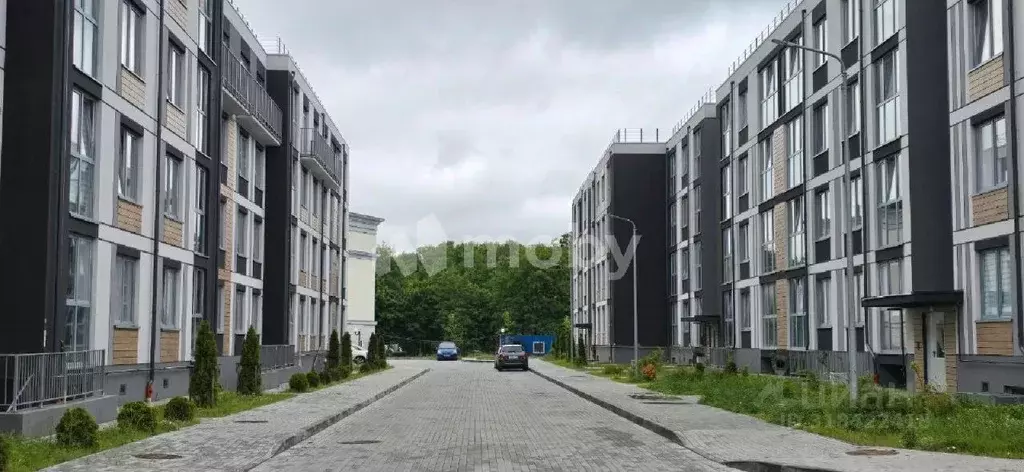 2-к кв. Калининградская область, Калининград ул. Сержанта Мишина, 81к3 ... - Фото 0