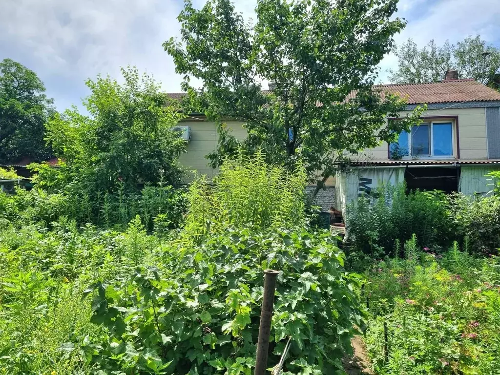 Дом в Приморский край, Находка Бархатная ул., 18 (46 м) - Фото 1