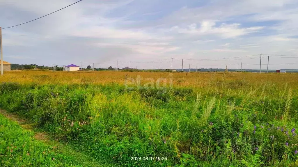 Участок в Амурская область, Благовещенск Груша СТ,  (10.0 сот.) - Фото 0