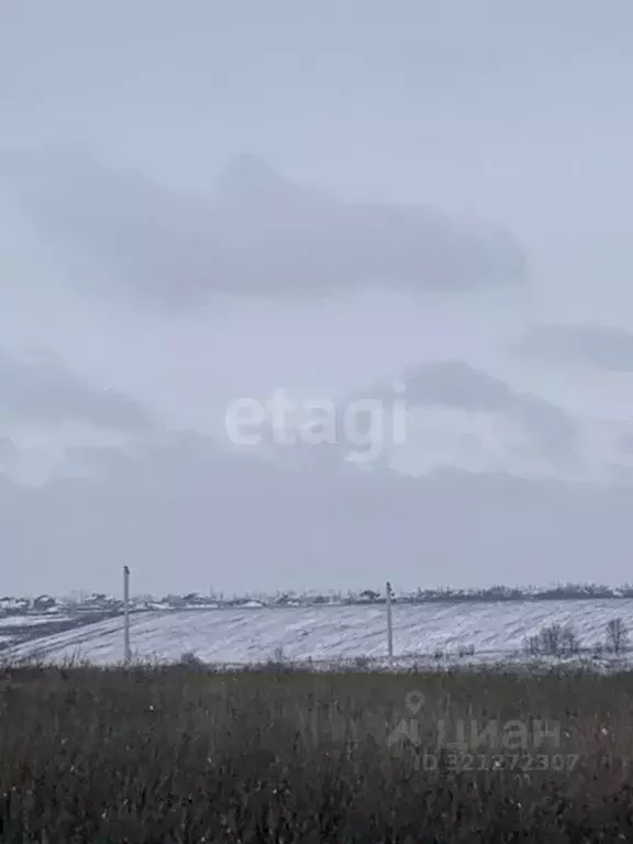 Участок в Белгородская область, Белгородский район, Головинское с/пос, ... - Фото 2