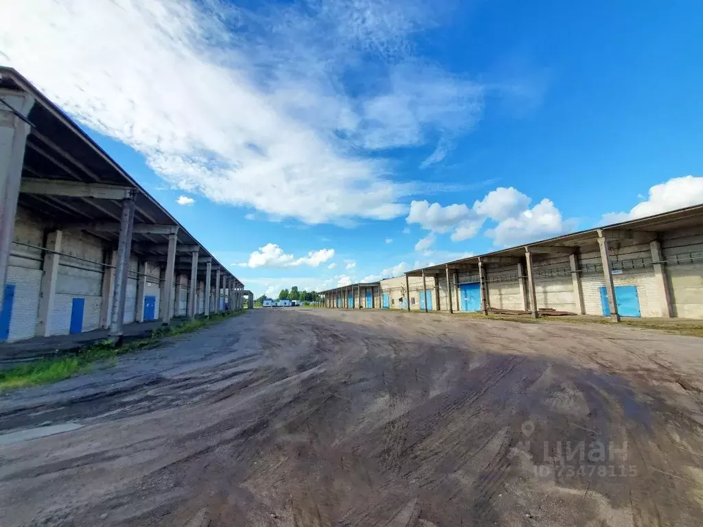 Склад в Ленинградская область, Волосово ул. Усадьба ВИЗ (77476 м) - Фото 0