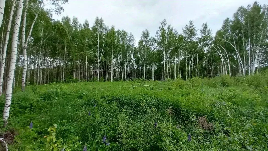 Участок в Нижегородская область, Дальнеконстантиновский муниципальный ... - Фото 1