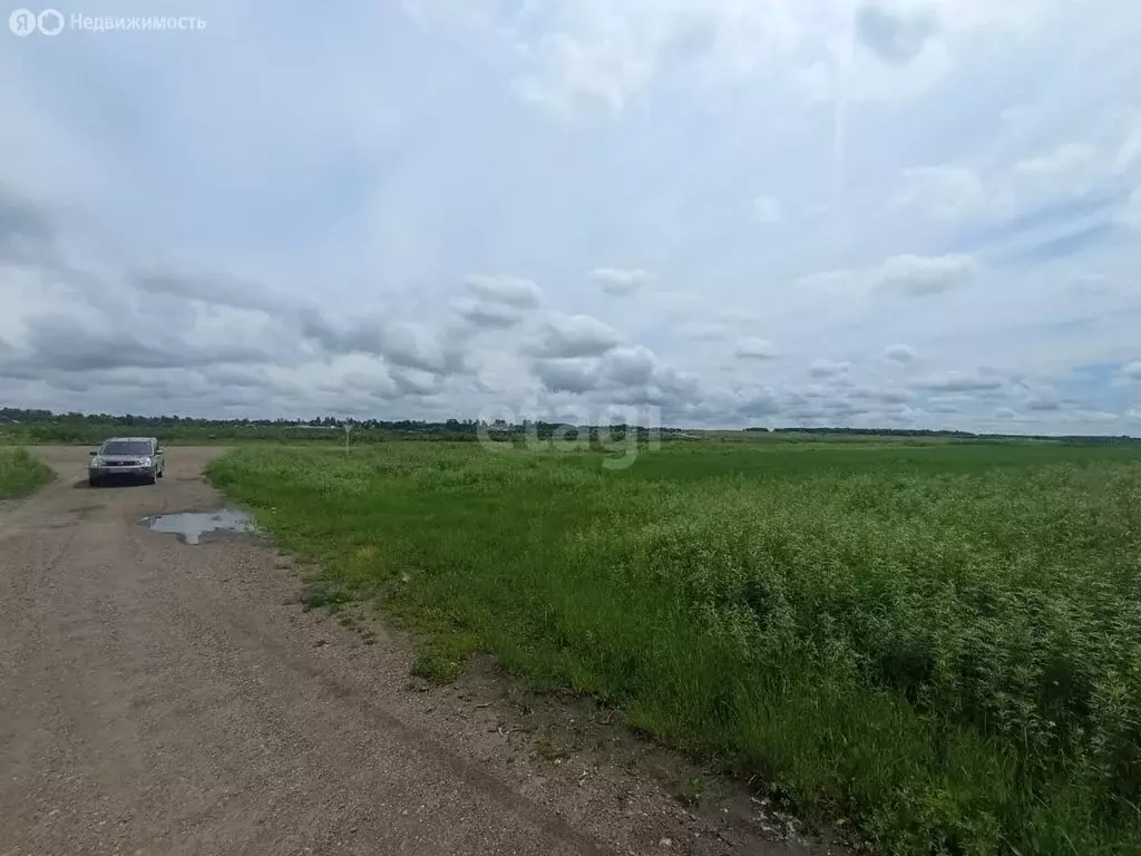 Участок в Амурская область, Благовещенский муниципальный округ, село ... - Фото 1