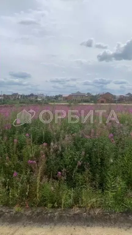 Участок в Тюменская область, Тюменский район, с. Перевалово, Зубарево ... - Фото 0