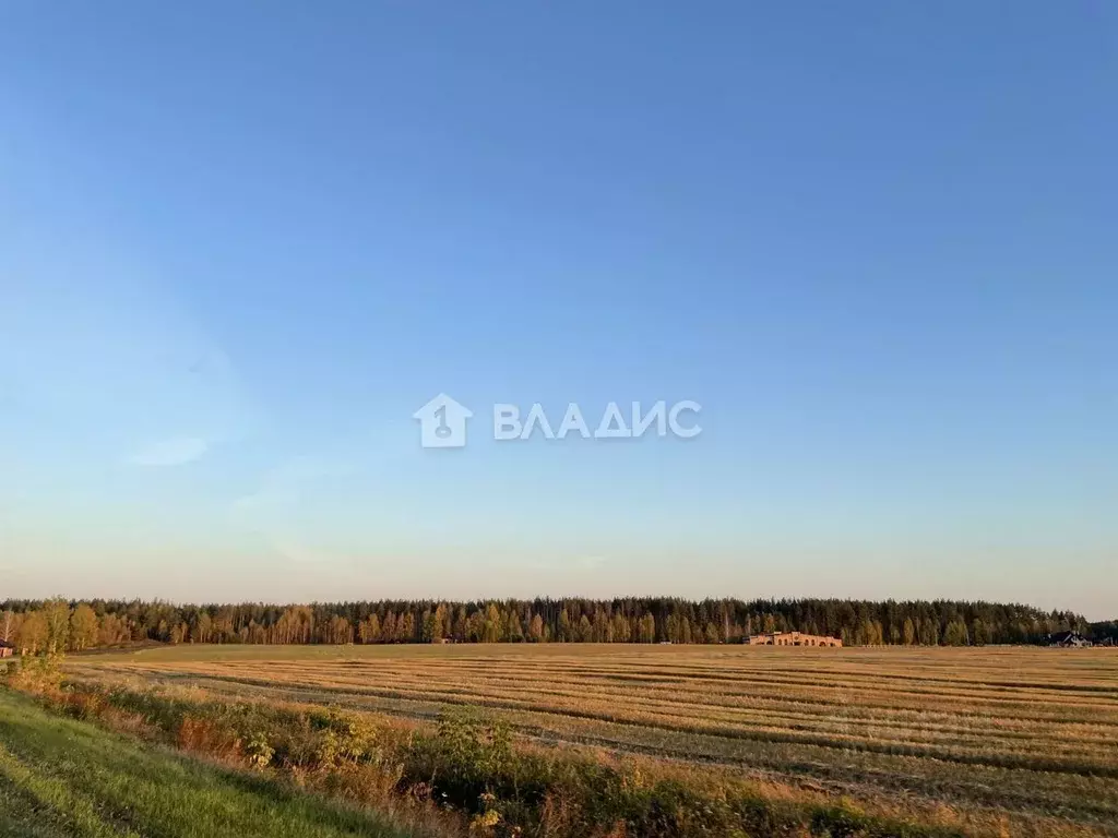 Участок в Тамбовская область, Тамбовский муниципальный округ, с. ... - Фото 1