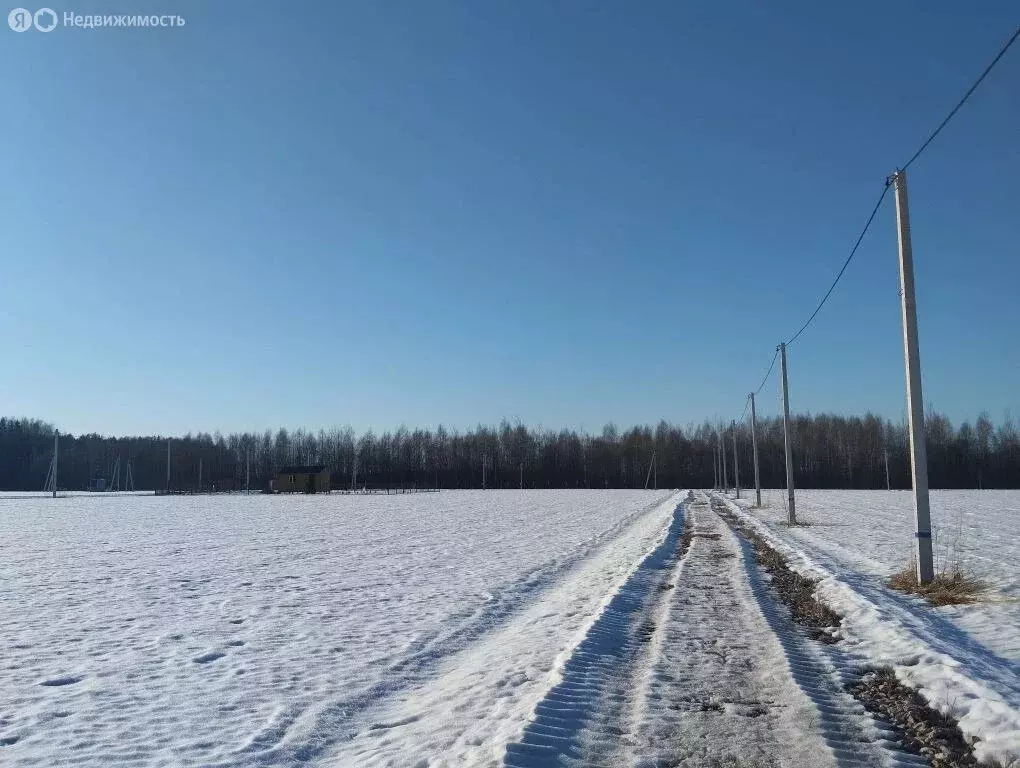 Участок в Московская область, Дмитровский муниципальный округ, дачный ... - Фото 1