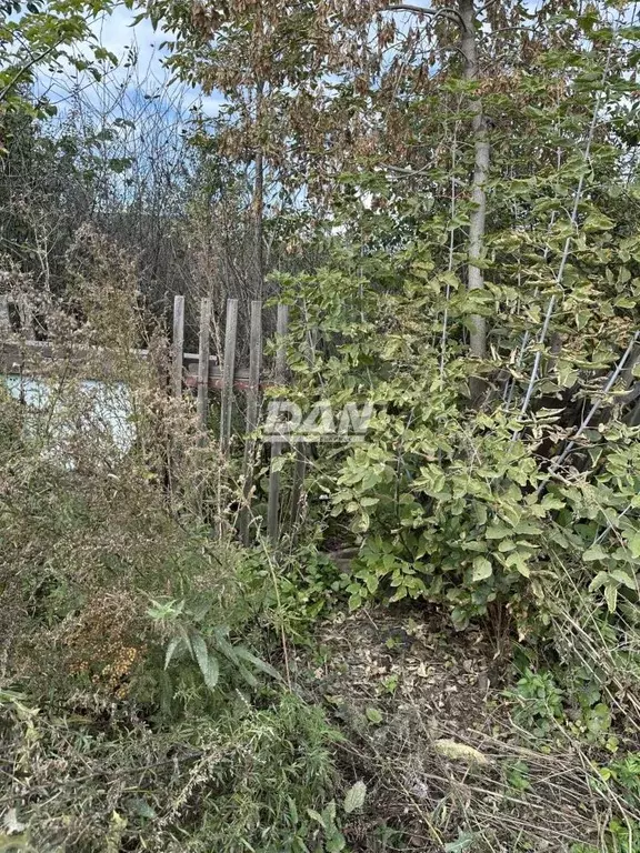 Участок в Челябинская область, Челябинск Станкостроитель-1 СНТ, 949 ... - Фото 1