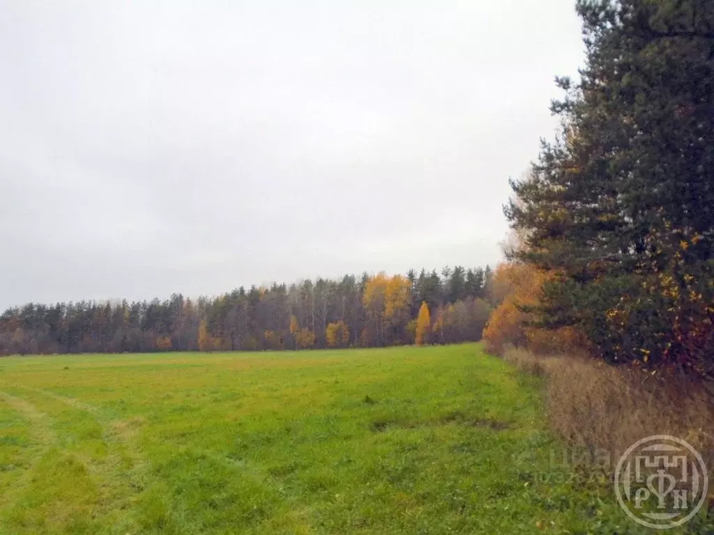 Участок в Ленинградская область, Выборгский район, Красносельское ... - Фото 1