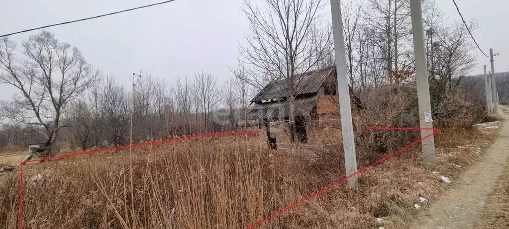 Участок в Приморский край, Надеждинский район, Зодчий № 1 СНТ 100 (6.0 ... - Фото 1