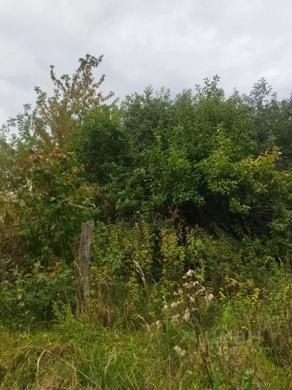 Участок в Московская область, Егорьевск муниципальный округ, д. ... - Фото 2