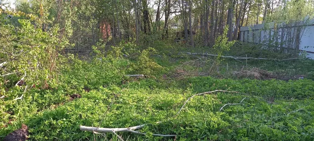 Участок в Московская область, Раменский городской округ, д. Дергаево ... - Фото 1