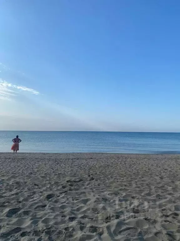 1-к кв. Краснодарский край, Темрюкский район, Новотаманское с/пос, ... - Фото 2