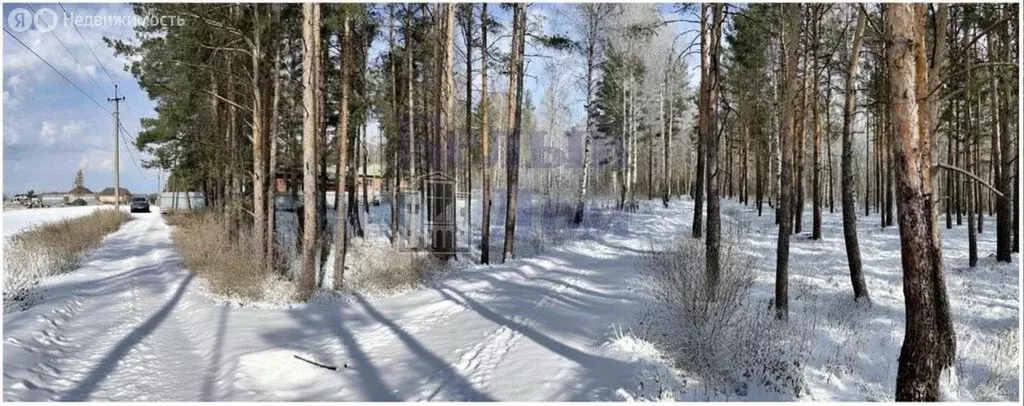 Участок в Свердловская область, Сысертский муниципальный округ, ... - Фото 1