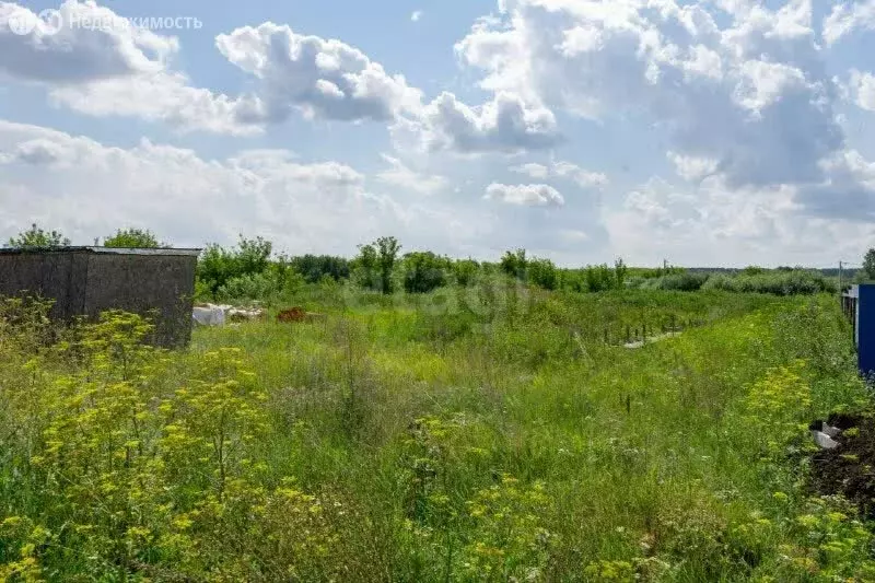 Участок в Тукаевский район, Малошильнинское сельское поселение, ДНП УК ... - Фото 2
