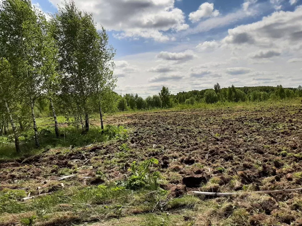Участок в Московская область, Серпухов городской округ, д. Дубачино  ... - Фото 2