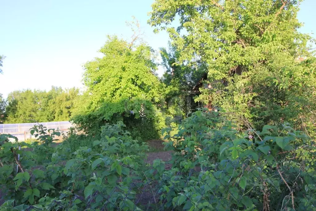 Участок в Красноярский край, Красноярск Победа СНТ, ул. Бригада № 5, ... - Фото 1