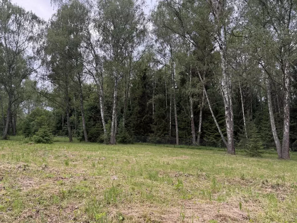 Участок в Московская область, Домодедово городской округ, д. Акулинино ... - Фото 1