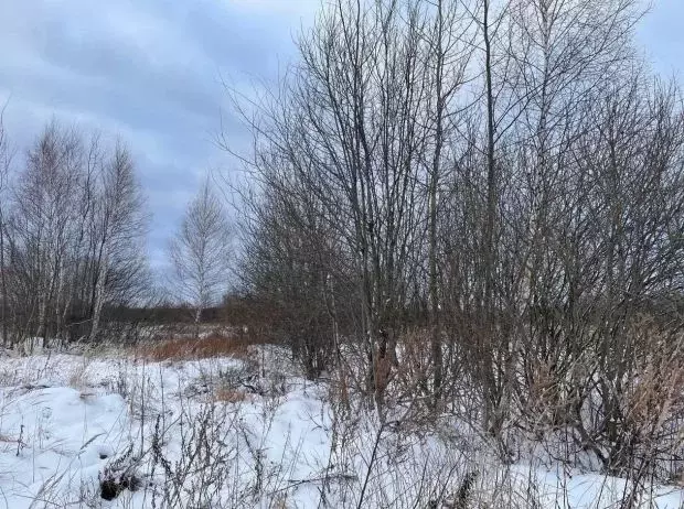 Участок в Московская область, Серпухов городской округ, пос. Большевик ... - Фото 0