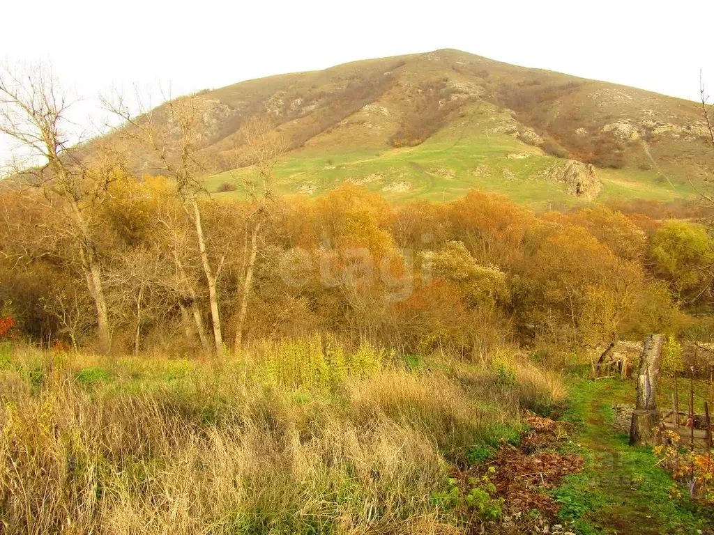 Участок в Ставропольский край, Предгорный муниципальный округ, с. Юца ... - Фото 1