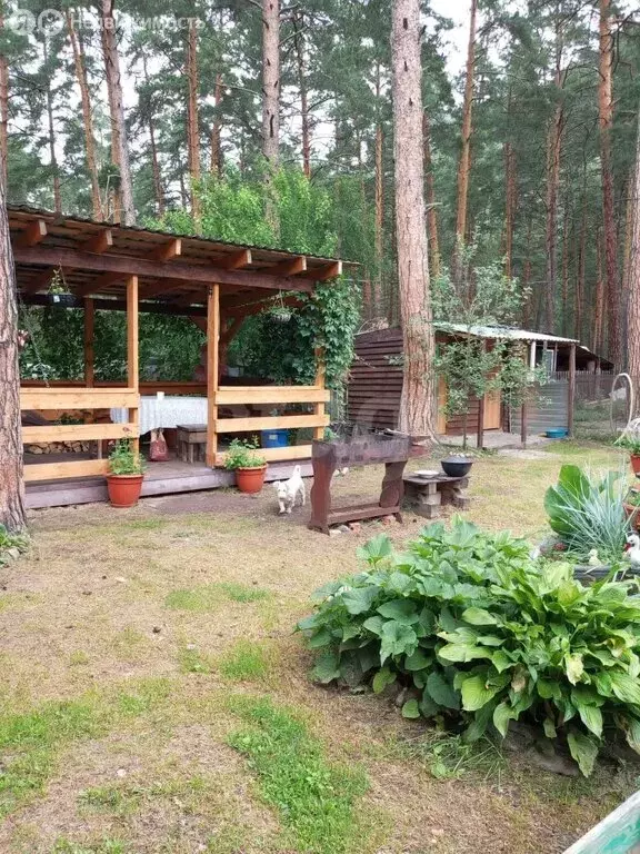 Дом в Чемальский район, село Чемал (79.7 м) - Фото 2