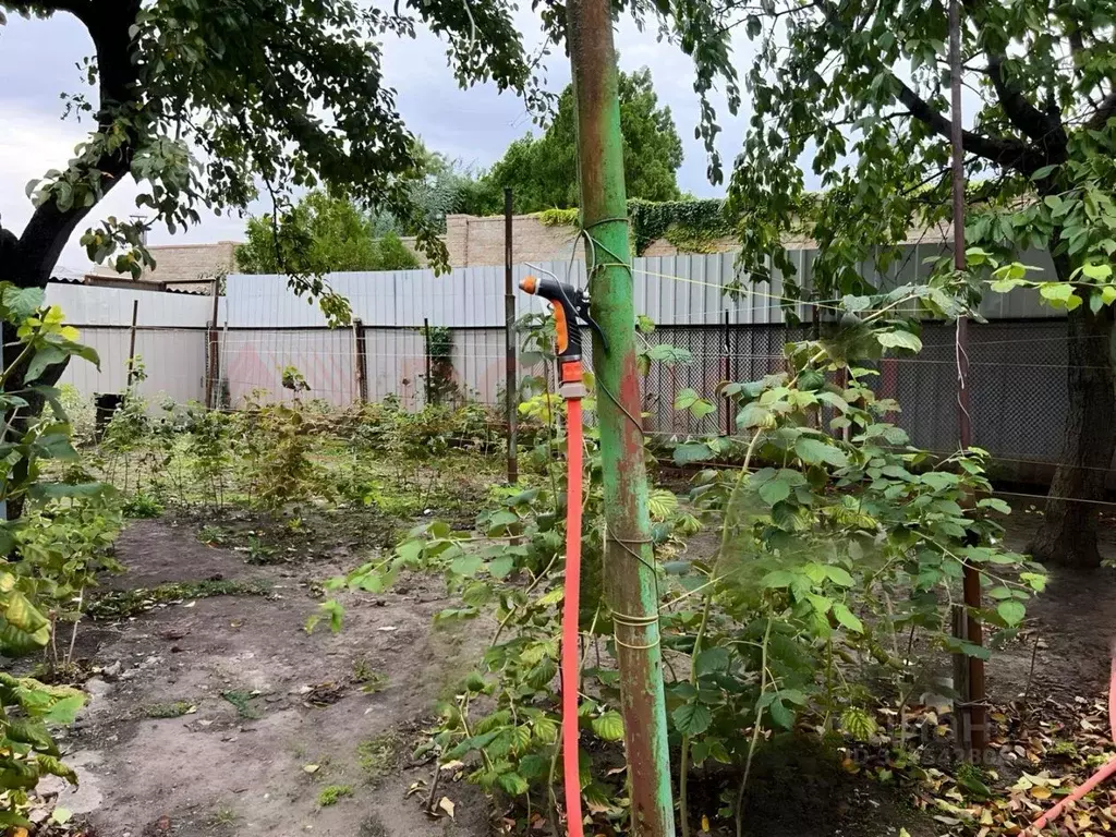 Участок в Ростовская область, Ростов-на-Дону ул. Калинина, 60 (3.0 ... - Фото 2