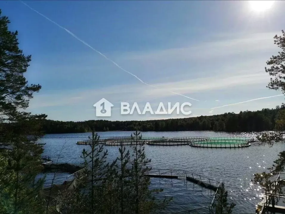 Помещение свободного назначения в Карелия, Кондопожский район, ... - Фото 2
