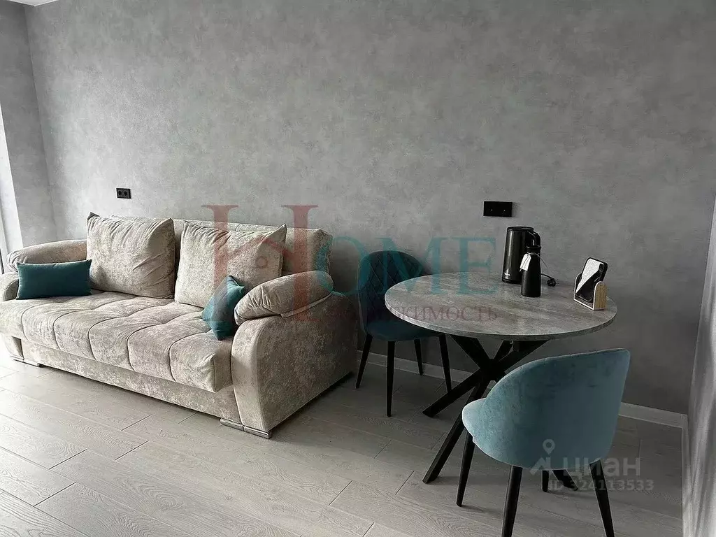 Студия Новосибирская область, Новосибирск ул. Никитина, 10к9 (34.0 м) - Фото 2