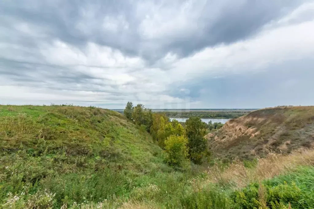 Дом в Омская область, Омский район, Красноярское с/пос, д. Нижняя ... - Фото 0