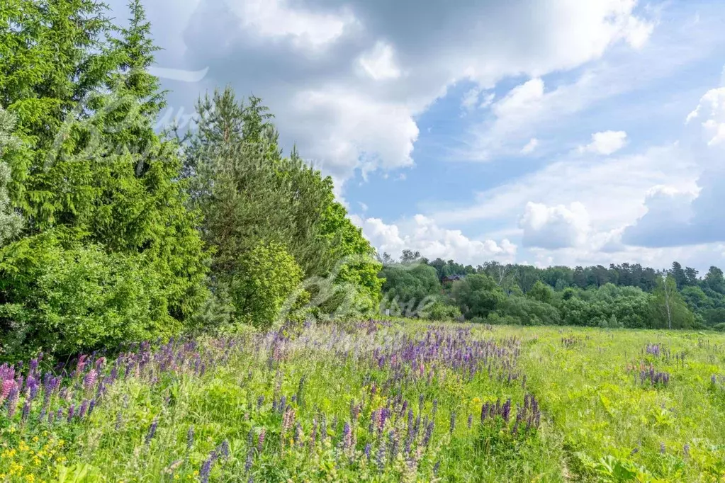 Участок в Москва д. Подосинки, 26 (98.5 сот.) - Фото 0